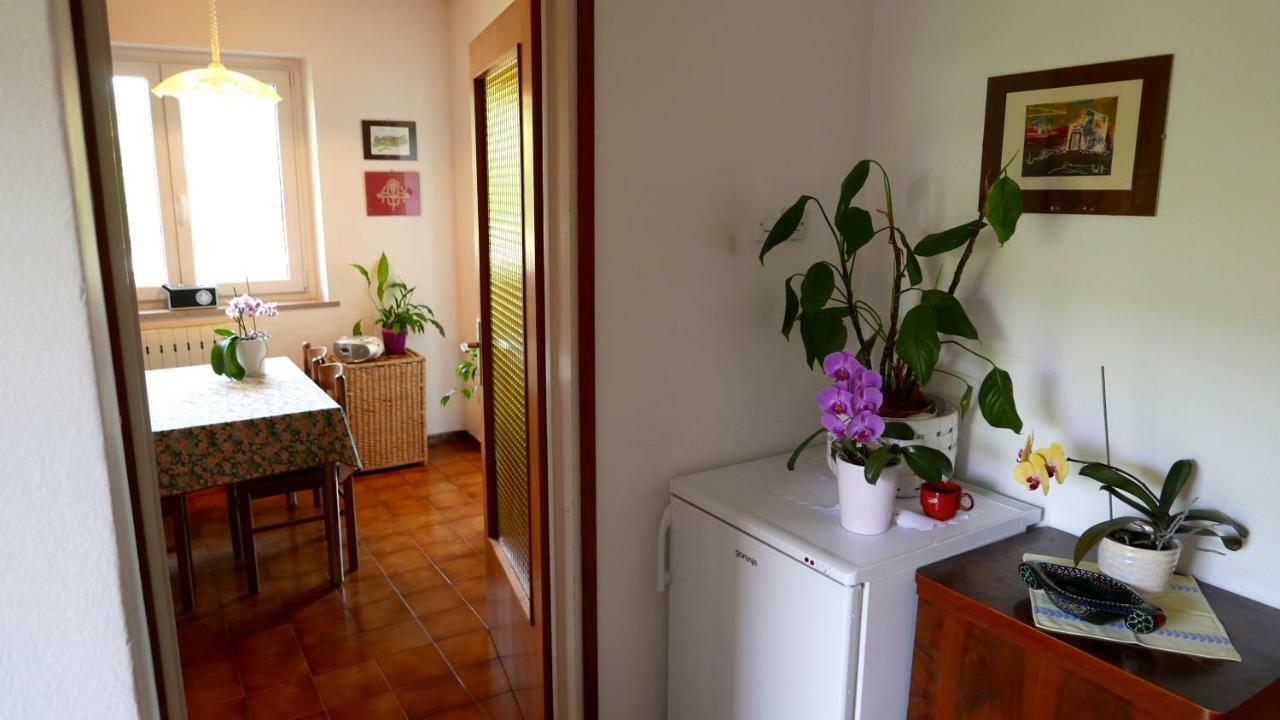 דירות בפורטורוז Bonsai House מראה חיצוני תמונה